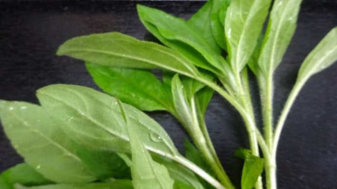菊芋(キクイモ)粉末の料理 糖尿病・便秘・大腸ポリープ・中性脂肪・高血圧