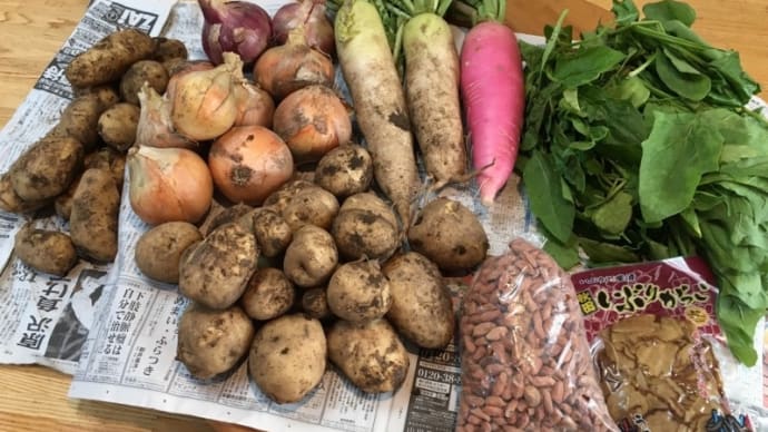 新鮮野菜