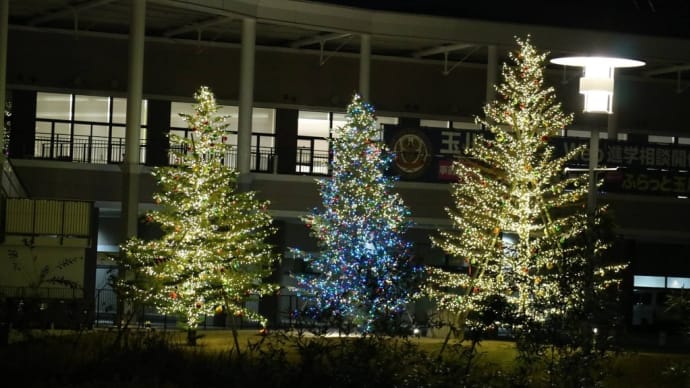 今日はクリスマス。