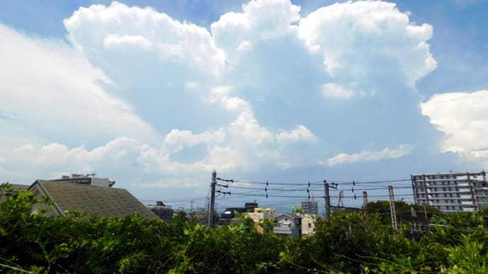 埼玉と東京に激しい気象をもたらした積乱雲