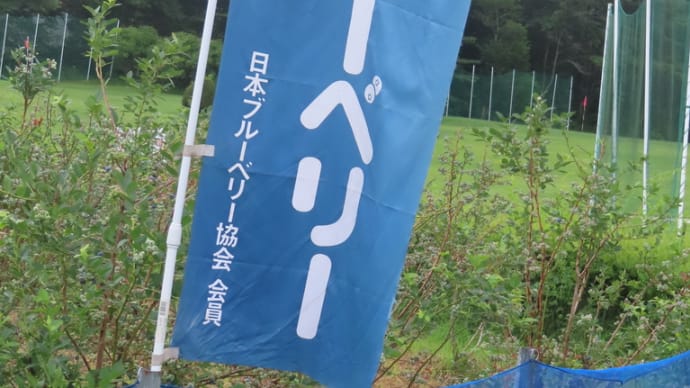 あっという間の最終日