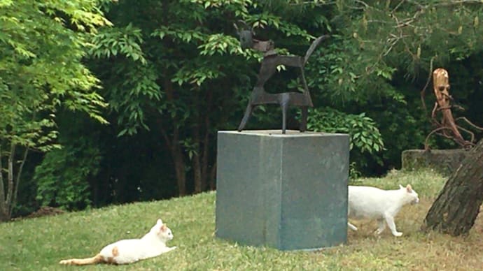 猫ねこ展