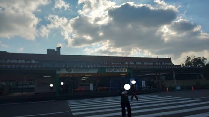 有馬記念の馬券購入後訪れました 本家人力うどん⑯ 鳥栖バイパス店(佐賀県鳥栖市)