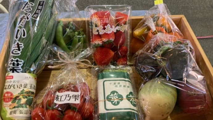いちかわごちそうマルシェ