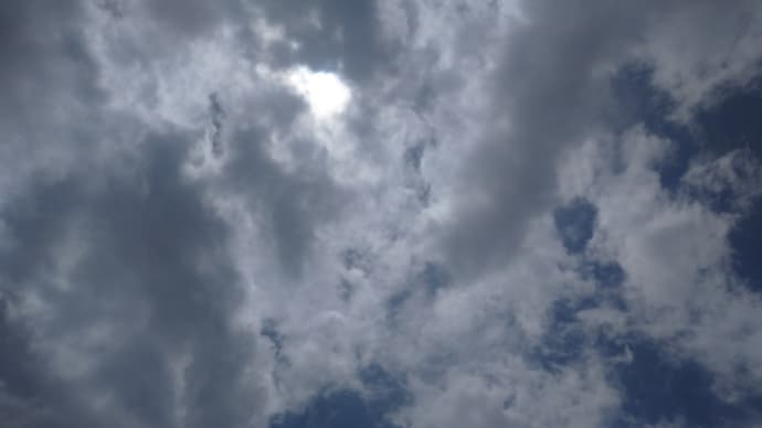 今頃まだこんな事言ってるの!何か一番大事なのか考えて行動せえや❗