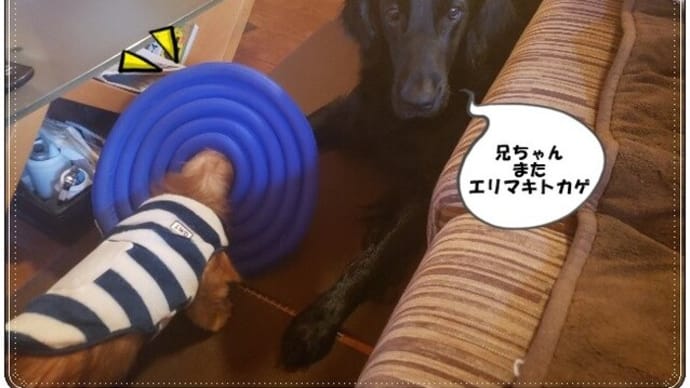 不調から復活
