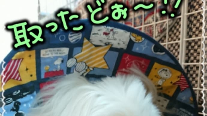 ナイスキャッチ…でもないか(((^^;)
