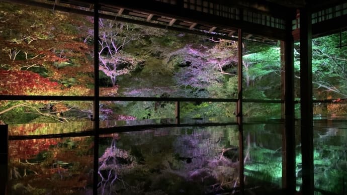 京都へ　ー 6ー　　瑠璃光院夜間特別拝観