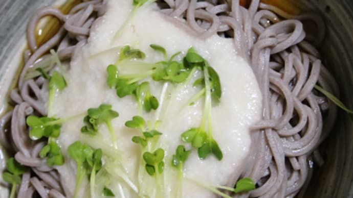 7月27日 とろろ蕎麦