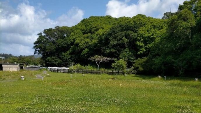 漢那農村公園