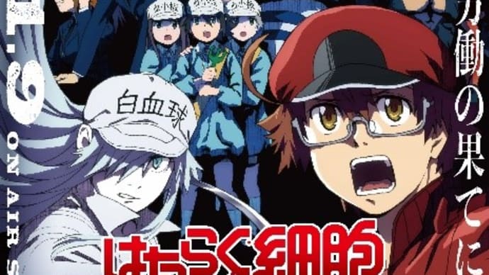 「はたらく細胞BLACK」第1弾 特別予告PV│2021年1月9日放送開始!