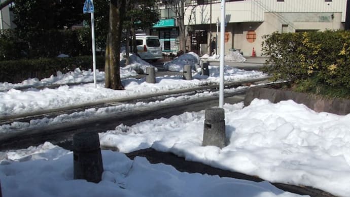 回顧・大雪・・普通の暮らしの頃