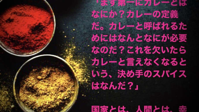 "美味しんぼ24 カレー勝負"雁屋哲　花咲アキラ