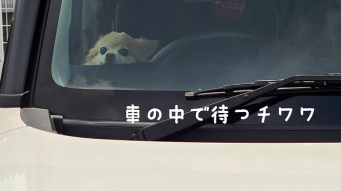 大きな勘違いしてました(汗)