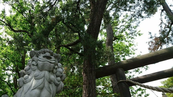 備忘録【手稲神社奥宮参拝】☆