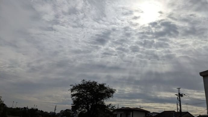 祈りうた（つぶや句　　かすかな想像力―能登半島地震五日目）