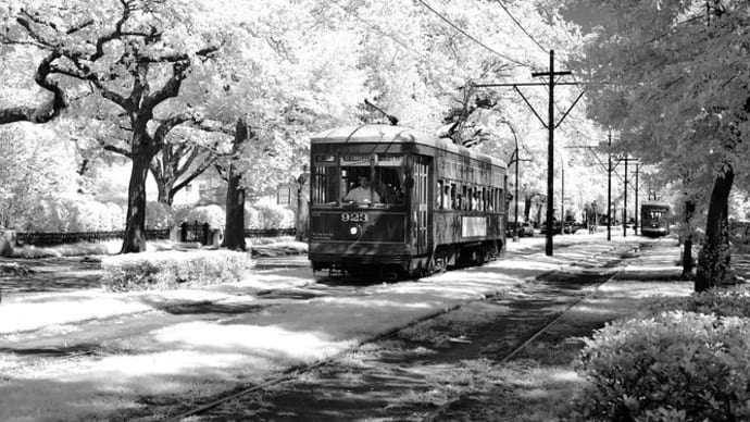 【A Streetcar Named Desire】『欲望という名の電車』文学座の伝説的な演目が35年振りに蘇る！