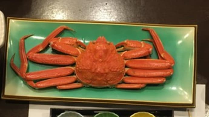 丹後方面カニ歩きツアー9