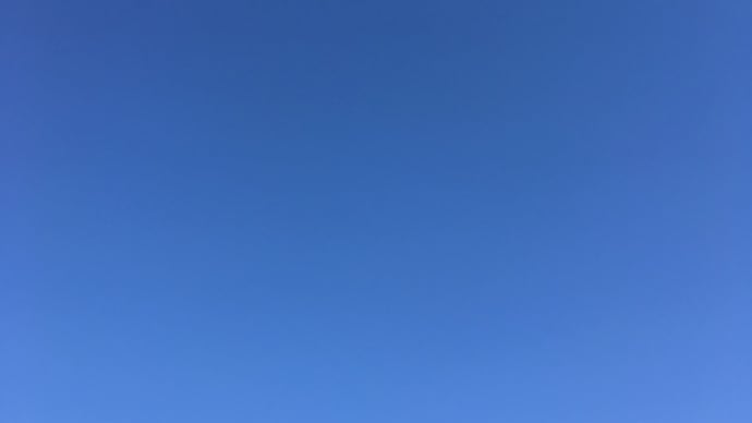 桜足踏み