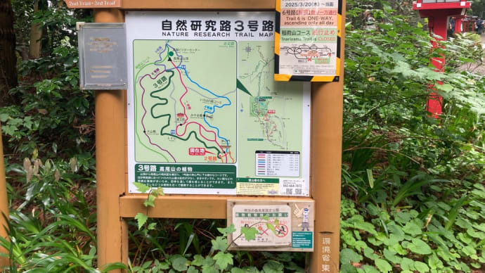 高尾山口から景信山ピストン