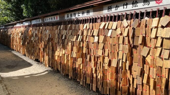 愛知(蒲郡)・無量寺(西浦不動)