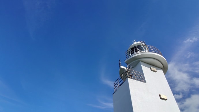 10月29日(火)鵜ノ尾埼のコハマギク Ⅱ