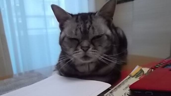 ざこばさんがぜんそくで逝った
