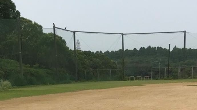 ほたるから残暑お見舞いです。