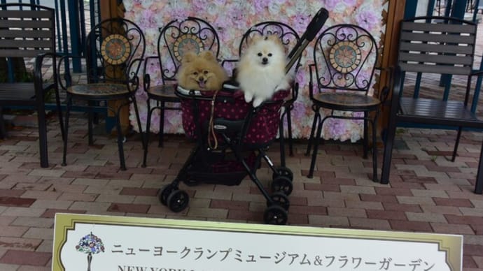 ニューヨークランプミュージアム&フラワーガーデン