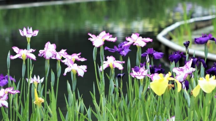 四季の里公園