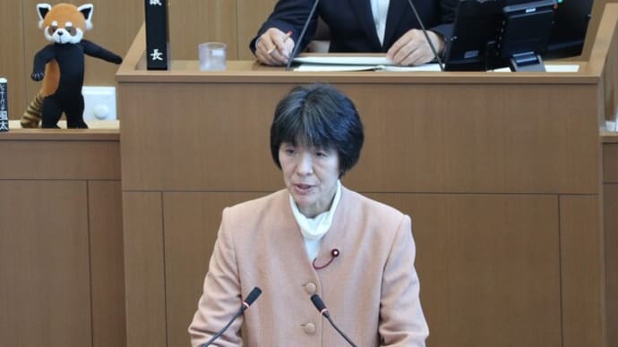 学校体育館エアコン整備は財源を確保し前倒しで実施を―もりた真弓市議が議案質疑