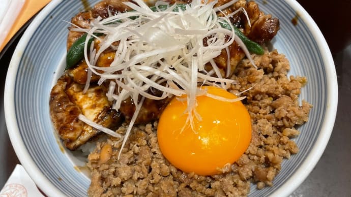 鳥肉めしランチ
