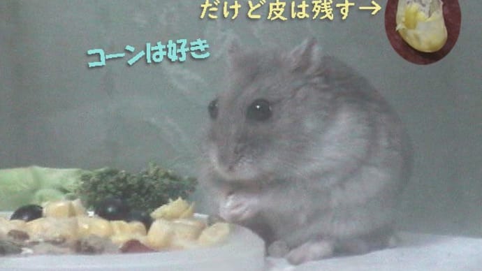 「ポップコーンが売っている」って?