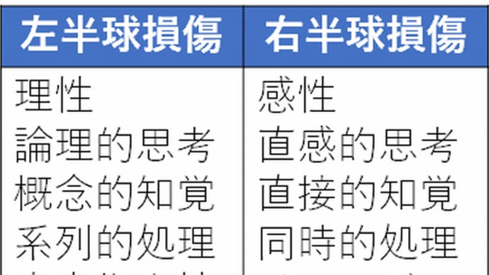 『右半球脳卒中・偏が失われた漢字』『左半球至上主義』『認識は予定調和』