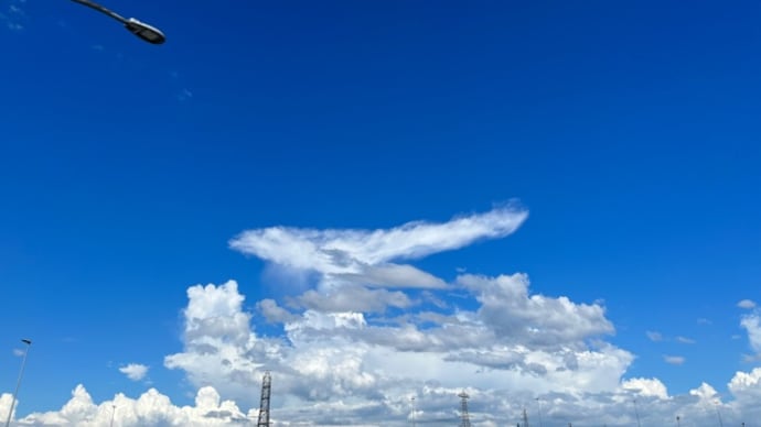 気怠い八月が好きになる