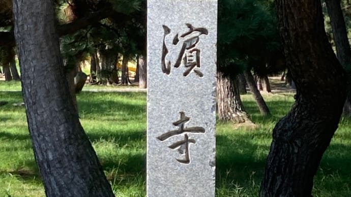 予告・行ってきました、浜寺公園