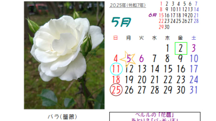 2025年5月の花のカレンダー