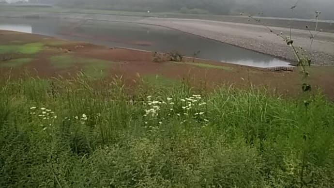 富沢赤黄男/一本のマッチをすれば湖は霧