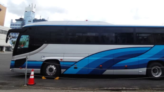 ZAMA BUS