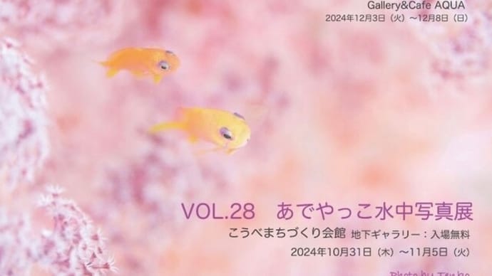 あでやっこ水中倶楽部写真展♬