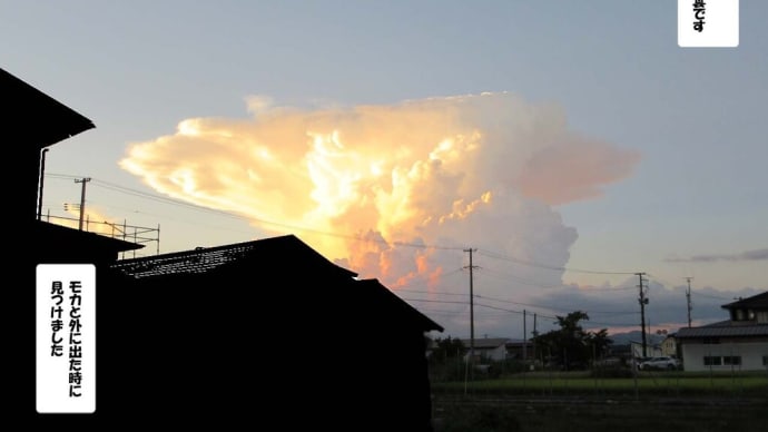 昨日の雲