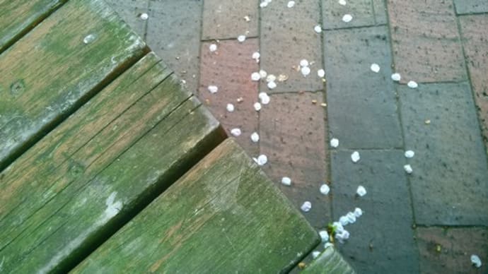 最後の桜