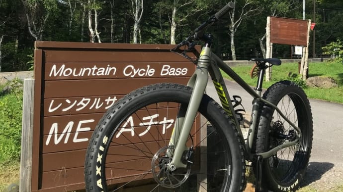 夏の白樺高原