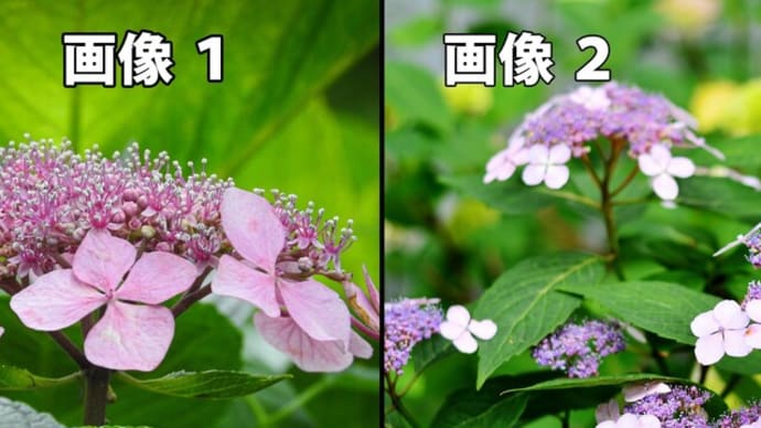 レイヤーマスクでグラデーションツール~PhotoshopElements
