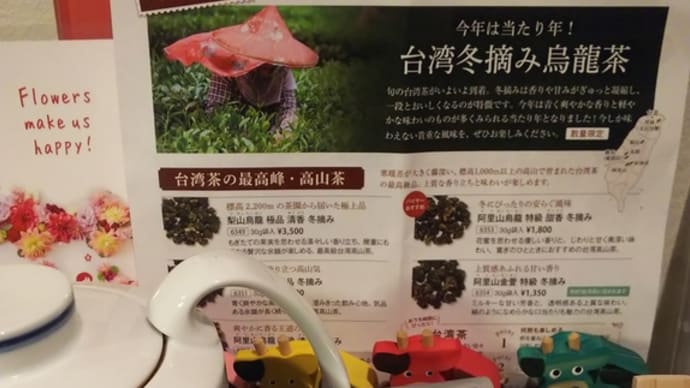 マイブーム凍頂烏龍茶♪