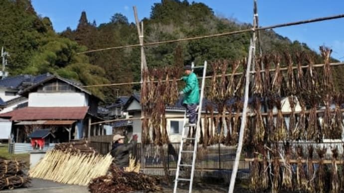 お試しあれ!