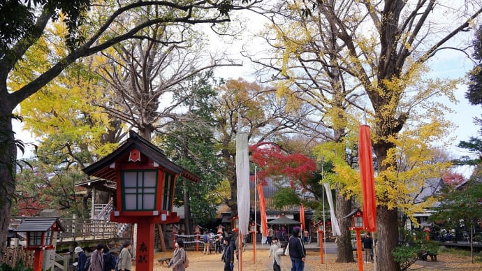 等々力不動尊、都立園芸高校