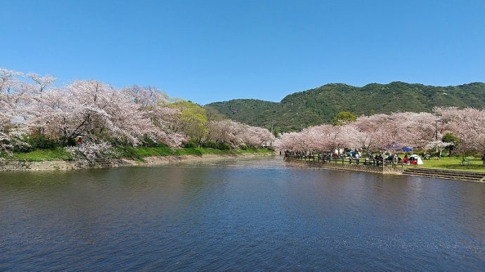 熊本:八百屋のブログ、更新しました。