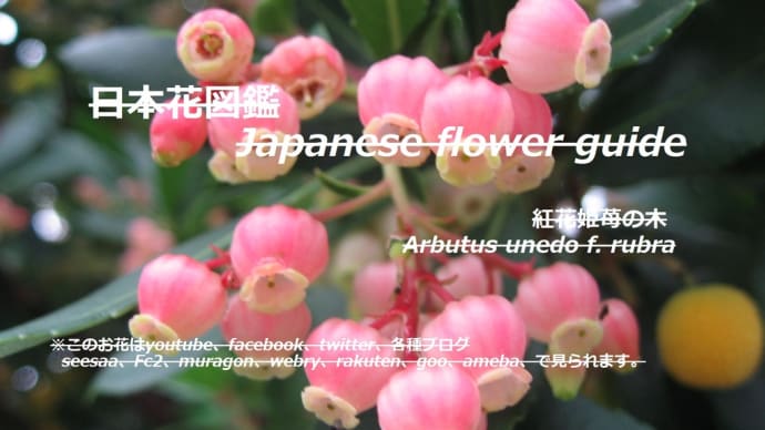 木に鈴蘭の花と苺の実？！Lily of the valley flowers and strawberry fruits on the tree? !!