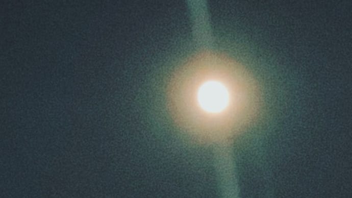 夜、きちんと眠れていますか⁉️